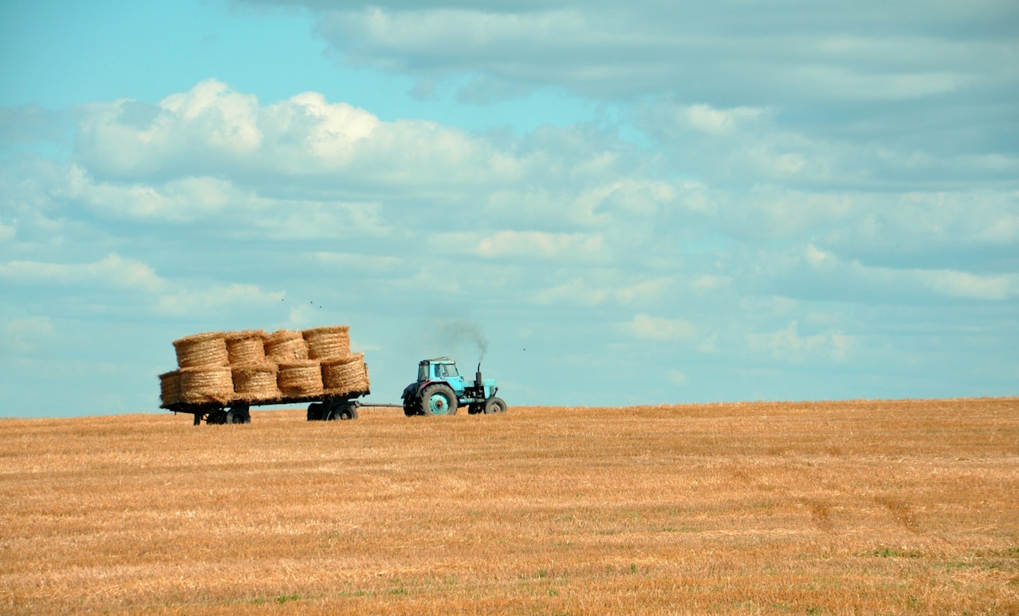 Guia Completo de Documentos para Agricultores